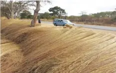  ??  ?? Harvesting thatching grass decreases the viciousnes­s of veld fires by reducing the fuel load