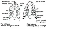  ??  ?? Figure 2