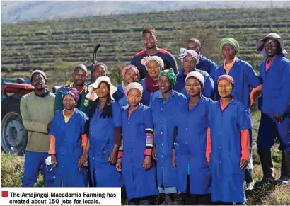  ??  ?? The Amajingqi Macadamia Farming has created about 150 jobs for locals.