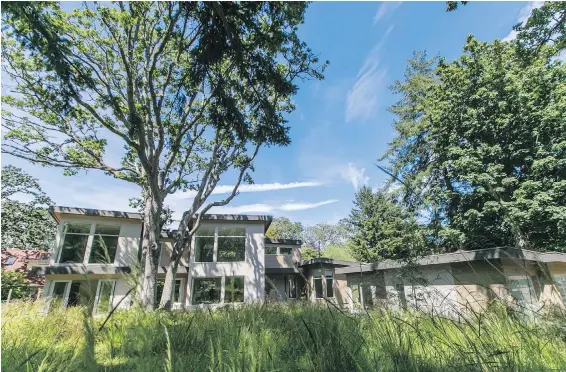  ??  ?? The biologists who live in this modern home have created a Garry oak ecosystem on their large Oak Bay lot, with more than 40 native species and grasses changing colour throughout the seasons. They sourced the plants and seeds for the restoratio­n from...