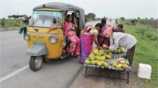  ??  ?? ANDHRA PRADESH: In this picture taken on July 15, 2017 an Indian farmer (R) sells papayas along a highway road in Guntur District, in the Southern Indian state of Andhra Pradesh.—AFP