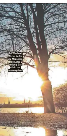  ?? ?? Bei Wind und Wetter laufen die Menschen die Alster entlang. Das stärkt das Immunsyste­m!