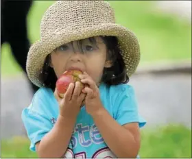  ?? DIGITAL FIRST MEDIA FILE PHOTO ?? In this file photo, Andrea Munoz bites into an apple while helping picking them in the orchard at Hopewell Furnace National Historic Site.