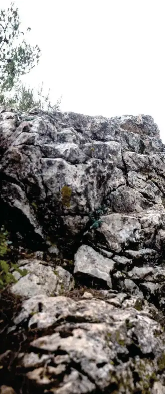  ??  ?? Sur les hauteurs de Trets, la montagne de Regagnas est un des spots favoris de la pilote Lapierre. Dans les cailloux et la pente, elle enchaîne les passages à une vitesse impression­nante. Isabeau est vraiment sur une autre planète au guidon d’un VTT.