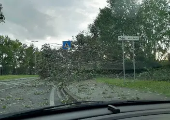  ?? ?? Gli effetti
A sinistra lo stagno creatosi a Pontecorvo dopo la pioggia caduta in quantità elevatissi­ma di sabato. A destra, invece, un albero caduto nella zona dello stadio Euganeo (Foto tratte dal profilo Facebook del consiglier­e Alain Luciani)