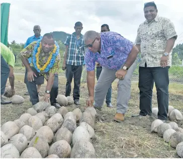  ?? Photo: Nacanieli Tuilevuka ?? Inspecting coconuts from left: Minister for Agricultur­e, Rural and Maritime Developmen­t, and National Disaster Management Inia Seruiratu, Tui Macuata Ratu Wiliame Katonivere and chairman of the Copra Millers Fiji Limited Raj Sharma at the copra factory in Savusavu on August 11, 2018.