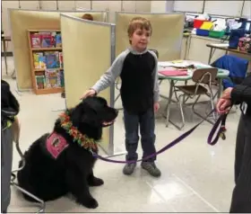  ?? HARRISON OTTO — FOR DIGITAL FIRST MEDIA ?? Ellie visits the life skills classroom, comforting students with emotional support as well as their teachers.