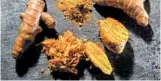  ??  ?? Turmeric, a rhizome related to ginger, is a spice used in its grated and powdered forms. It is a key ingredient in curry.