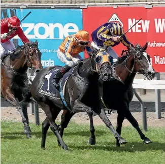  ?? TRISH DUNELL ?? Joyfilly (inside) went down fighting to Gold Fever in the Matamata Breeders Stakes.