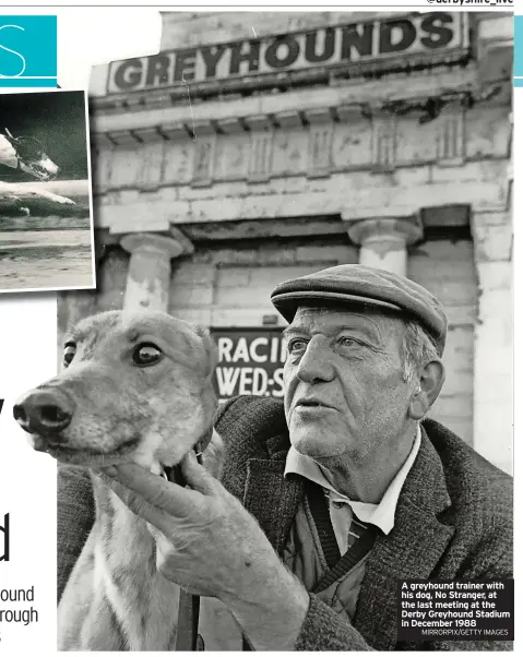  ?? MIRRORPIX/GETTY IMAGES ?? A greyhound trainer with his dog, No Stranger, at the last meeting at the Derby Greyhound Stadium in December 1988