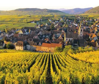  ??  ?? Alsatian town surrounded by vineyards