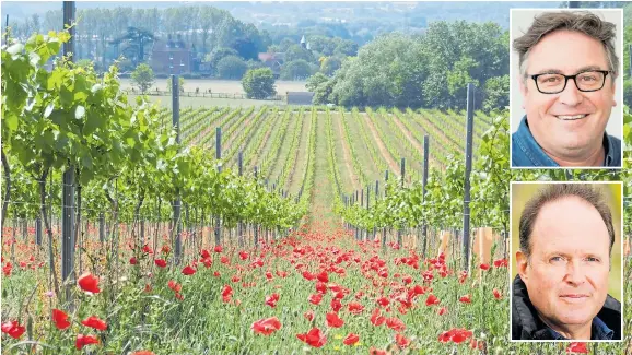  ??  ?? CHEERS, CHAPS! Chapel Down vineyard in Kent. Inset top, wine expert Richard Siddle and, inset below, Mark Driver of the Rathfinny Wine Estate