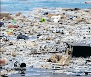  ?? EFE ?? Afectación. Los microplást­icos de mayor tamaño se localizaro­n en áreas con gran cantidad de aguas.