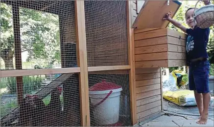  ??  ?? Gabin, 4,5 ans, a l’habitude d’aller chercher les oeufs de ses poules dans le poulailler du jardin familial le matin.