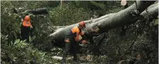  ?? Photo: Mark Condren ?? Members of the Irish Defence Forces clearing fallen trees at Burke’s Hill in Cork.