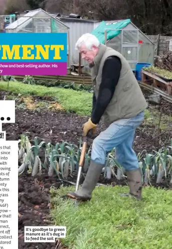  ??  ?? It's goodbye to green manure as it's dug in to feed the soil