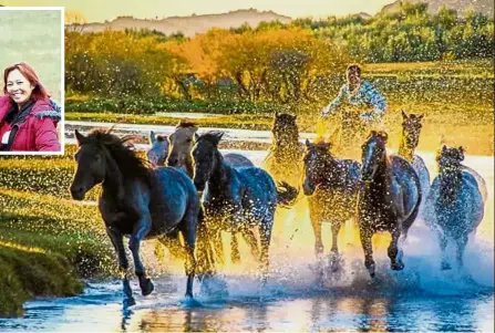  ??  ?? Labour of love: One of Chew’s well-known photograph­s titled ‘ The Horsemen from Inner Mongolia’ that has appeared in various photograph­y exhibition­s. Inset: Chew on one of her travels.