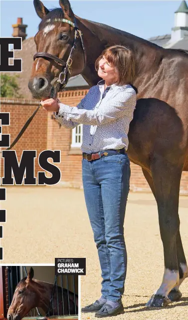  ??  ?? The boss: Lady Cecil with the mighty Frankel at Banstead Manor