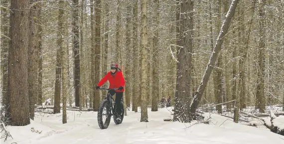  ?? GREG OLSEN ?? A guided tour with Sweet Riders on one of the many great trails in the Crowsnest Pass is a great way to get started with the sport of fat biking in the winter.