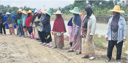  ??  ?? STANDING TOGETHER: Local women form a line to help carry soil for growing plants in their plantation.