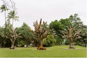  ?? ?? Ai Weiwei, Tree, 2010, wood; Iron Tree, 2020, iron tree sections; and Tree, 2010, wood (installati­on view, Foster Botanical Garden, Honolulu, 2022). Photo: Lila Lee. Courtesy the artist and Hawai‘i Contempora­ry