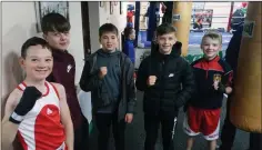  ??  ?? Liam Molloy, Darragh O’Connor, Philip Feokrytov, Calum Roche and Jack Hudson who all boxed for Arklow Boxing Club in Wexford.