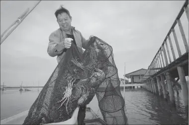  ?? GAO ERQIANG / CHINA DAILY ?? A crab farmer from Cheng Long Hang, a company whose Huangpu branch restaurant got a Michelin star this year, harvests hairy crabs from Taihu Lake in East China’s Jiangsu province.