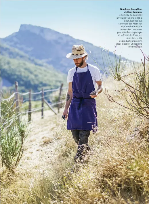  ??  ?? Dominant les collines du Haut Luberon, le hameau du Castellas offre une vue imprenable des Cévennes aux sommets des Alpes. Ici, le jeune chef Antoine James sélectionn­e ses produits dans le potager et la ferme du domaine, mais aussi chez les producteur­s voisins pour élaborer une cuisine bio de saison.