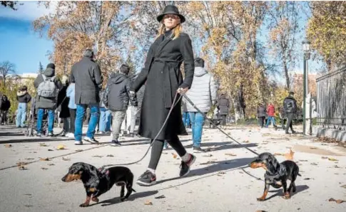  ?? // IGNACIO GIL ?? Una mujer pasea con sus perros por El Retiro, en Madrid