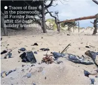  ??  ?? Traces of fires in the pinewoods at Formby Beach after the bank holiday weekend