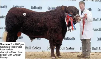  ??  ?? Success The 7000gns salers sale topper and intermedia­te champion Cleuchhead Legacy with UA’s Iain Livesey