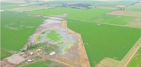  ?? (PABLO BOLLATTI) ?? Anegamient­o. Lotes con soja de segunda afectados por el agua, entre las cabañas Marcos Juárez y María Lucía, en el sudeste provincial.