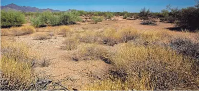  ?? BRIAN MUNOZ/THE REPUBLIC ?? The undevelope­d 134 acres of state trust land as shown on June 20, 2018, in Scottsdale.