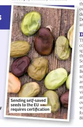  ??  ?? Sending self-saved seeds to the EU requires certificat­ion