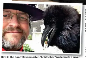  ??  ?? Bird in the hand: Ravenmaste­r Christophe­r Skaife holds a raven chick, and, inset, with Queen raven Merlina, who has flown away