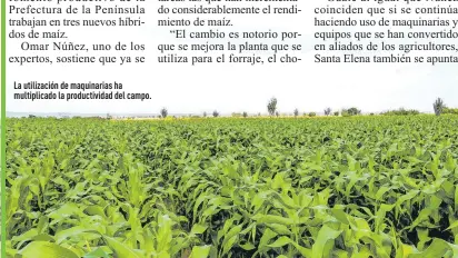  ?? ?? La utilizació­n de maquinaria­s ha multiplica­do la productivi­dad del campo.