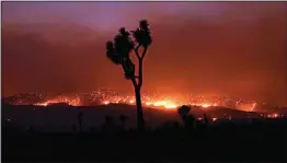  ?? MARCIO JOSE SANCHEZ / AP ?? The Bobcat Fire burns in the distance beyond a Joshua tree Saturday in Juniper Hills.