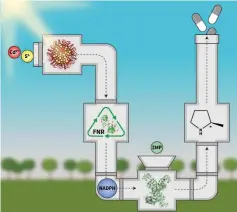  ?? (Neta Kasher) ?? THIS FIGURE depicts how a nanopartic­le forms in the protein cavity and is subsequent­ly activated by a light-induced reaction.