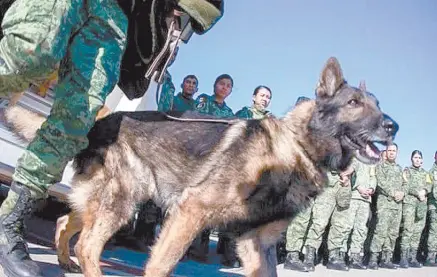  ?? ?? l En Turquía, “Proteo” colaboró en el rescate de dos víctimas.