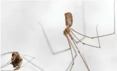  ?? Fotos: Ralf Armbrecht, Benedikt Eichele ?? Mit diesem Bild hat Benedikt Eichele den dritten Preis beim Wettbewerb „Natur im Fokus“gewonnen.