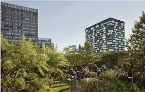  ?? (EM2N/STUDIO VULKAN) ?? A Zurich, sur le campus de la Haute Ecole des arts, un jardin se développe à partir de pousses plantées dans des caisses à fruits, selon le projet des architecte­s du bureau EM2N et du Studio Vulkan.