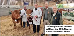  ?? ?? Champion and reserve cattle at the 99th Newton Abbot Christmas Show