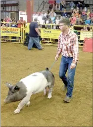  ?? COURTESY PHOTO ?? Farmington FFA members show livestock at the Washington County Fair.