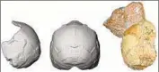  ??  ?? THE HUMAN specimen, right, with two views of its 3-D reconstruc­tion, which helped date the skull.