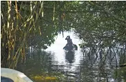  ??  ?? SISTEMA DE LAGUNAS.
Durante el recorrido acuático se puede apreciar la magnitud de los cuerpos de agua del parque y de la gran variedad de plantas y manglares existentes en toda el área.