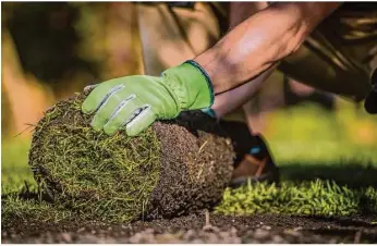  ?? Foto: © Virrage Images/shuttersto­ck.com ?? Die Nachfrage nach Rollrasen steigt stetig. Die Familie Kerler aus Amtzell ist einer von bundesweit rund 80 Produzente­n.