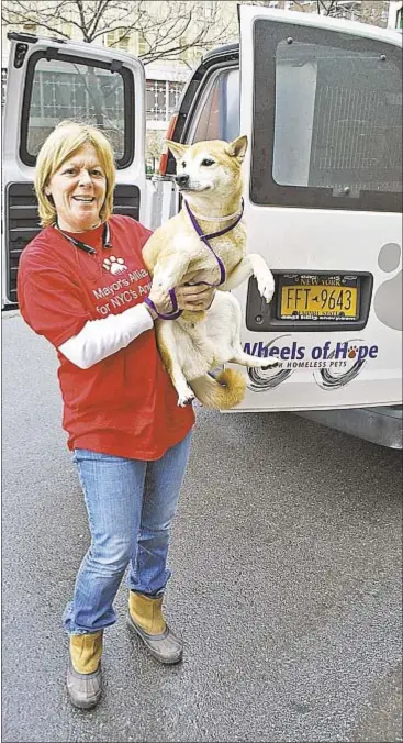  ??  ?? Holding a cuddly canine, Debbie Fierro, a transport driver for Wheels of Hope, has dedicated her life to saving animals.