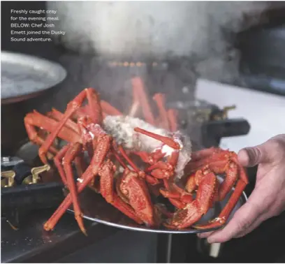  ??  ?? Freshly caught cray for the evening meal. BELOW: Chef Josh Emett joined the Dusky Sound adventure.