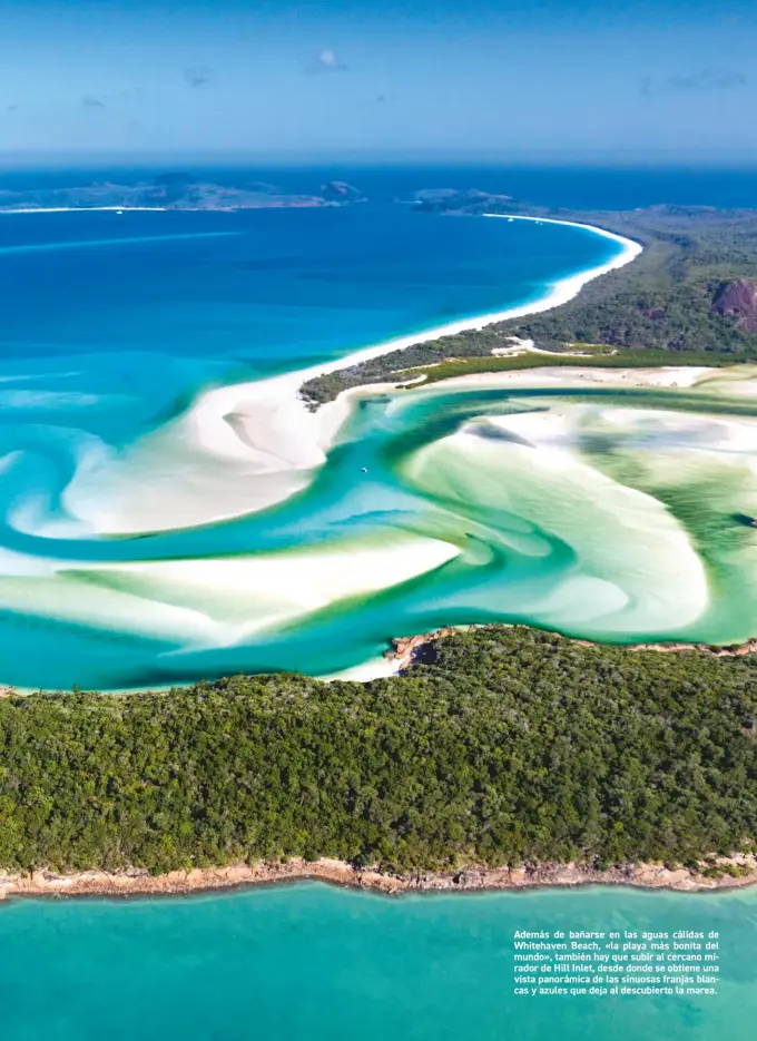  ??  ?? Además de bañarse en las aguas cálidas de Whitehaven Beach, «la playa más bonita del mundo», también hay que subir al cercano mirador de Hill Inlet, desde donde se obtiene una vista panorámica de las sinuosas franjas blancas y azules que deja al descubiert­o la marea.