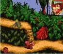  ??  ?? [Game Boy Color] Donkey Kong Country was an impressive achievemen­t on the last viable 8-bit system.
